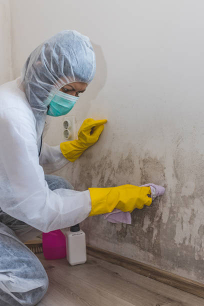 Best HVAC Mold Inspection and Cleaning  in Port Reading, NJ