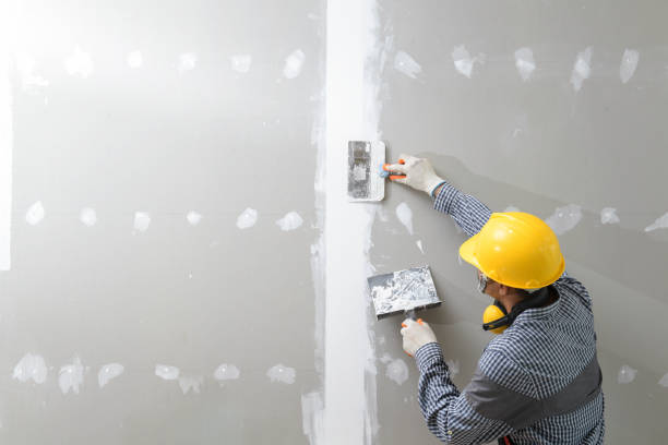 Best Industrial Mold Remediation  in Port Reading, NJ