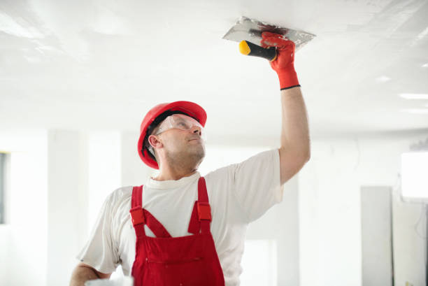 Best Dehumidification Services  in Port Reading, NJ